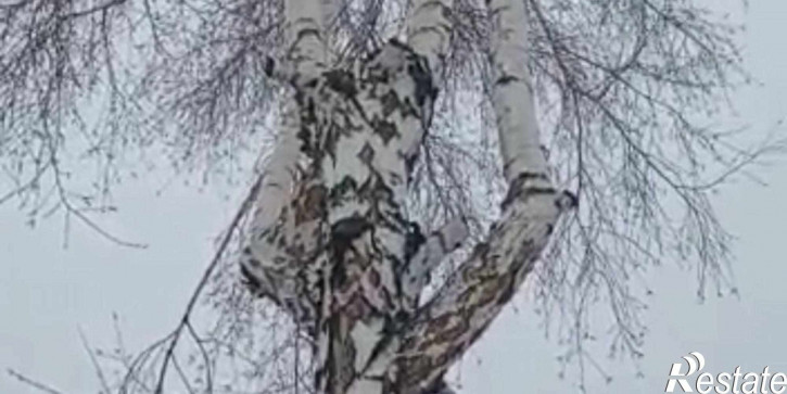 Земельный участок СНТ Вышивка тер