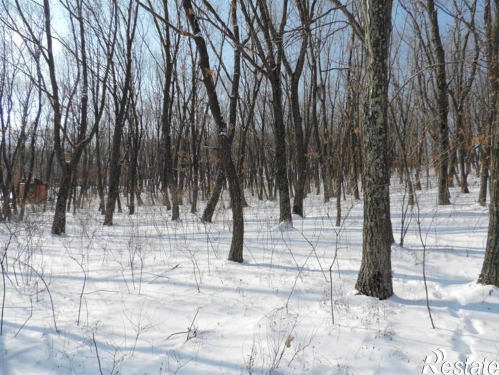 Земельный участок село Владимиро-Александровское,Восточная улица,10