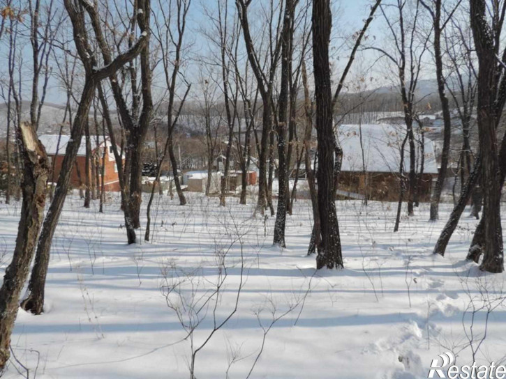Земельный участок село Владимиро-Александровское,Восточная улица,10