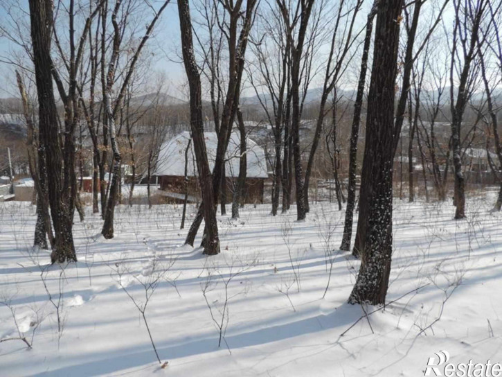 Земельный участок село Владимиро-Александровское,Восточная улица,10