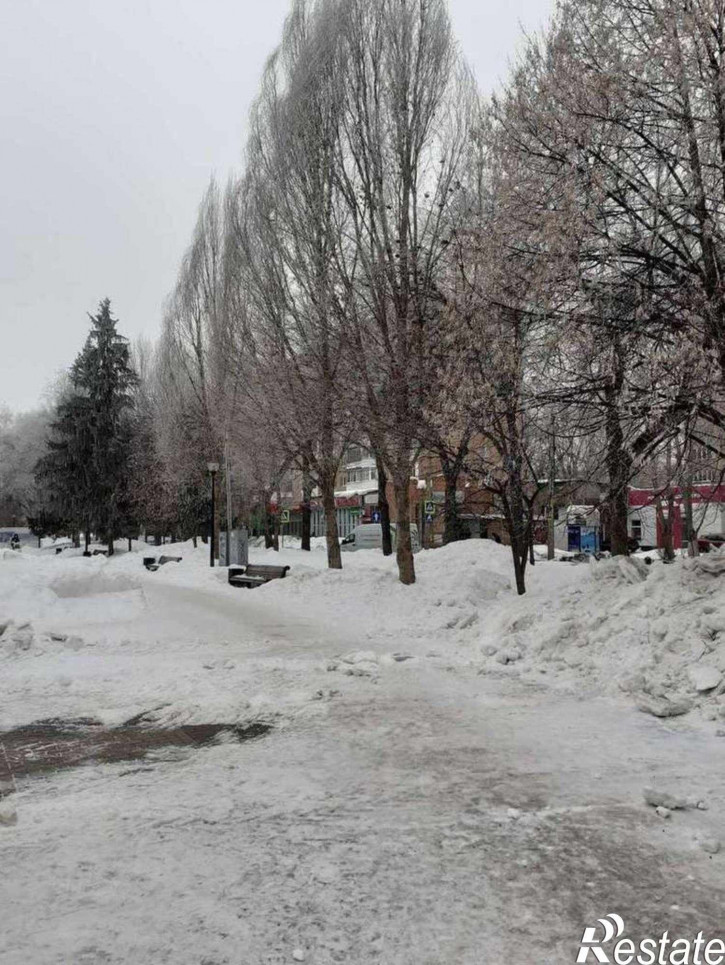 3-комн квартира Юных Пионеров проспект, 148