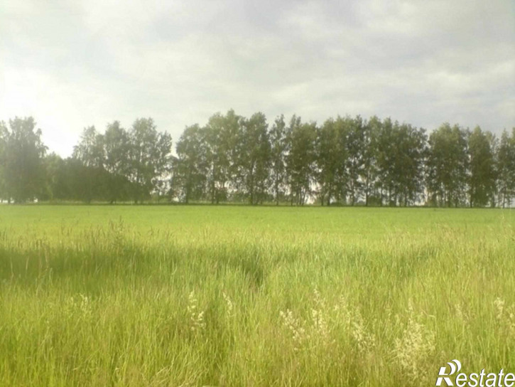 Земельный участок Дуденево с