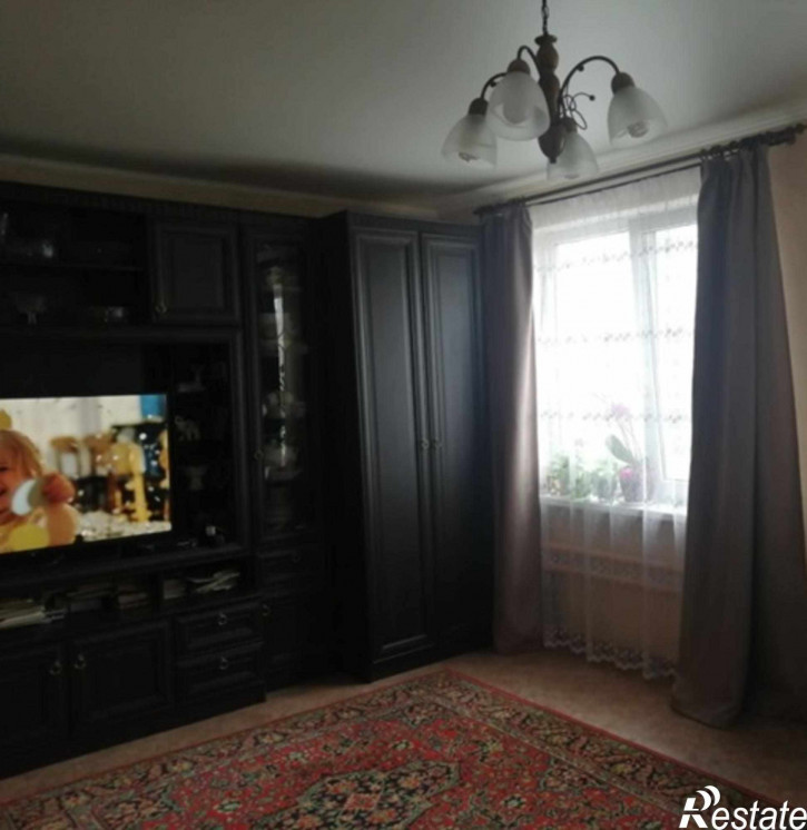 3-комн квартира центральная улица, 101