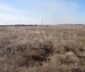 земля 16650 сот Центральная ул