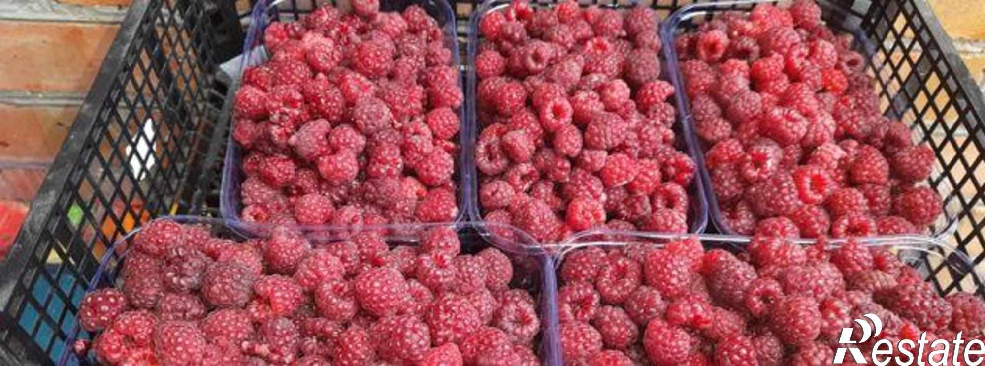 Купить дачу, дом, коттедж за 7 320 000 рублей на улица Строителей, 148