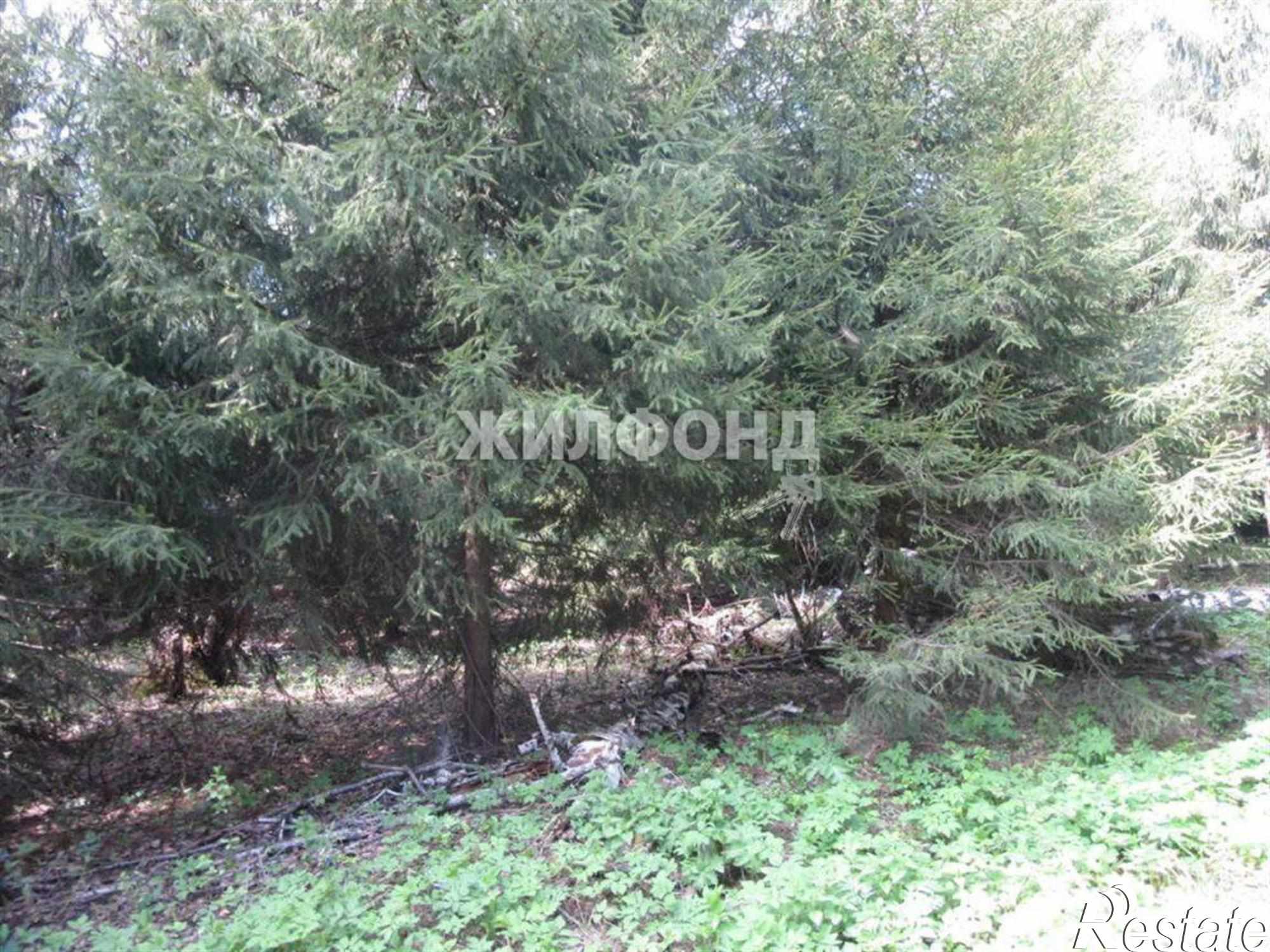 Купить дачу, дом, коттедж за 5 500 000 рублей на Генетик территория снт
