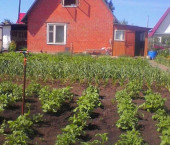 коттедж 50 кв м Ягуново