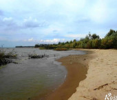 земля 100 сот Хрящевка село