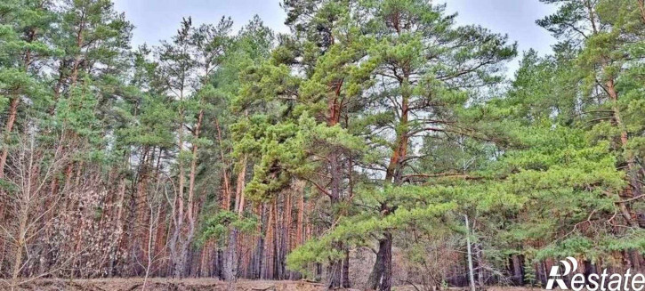 Земельный участок Лесная улица