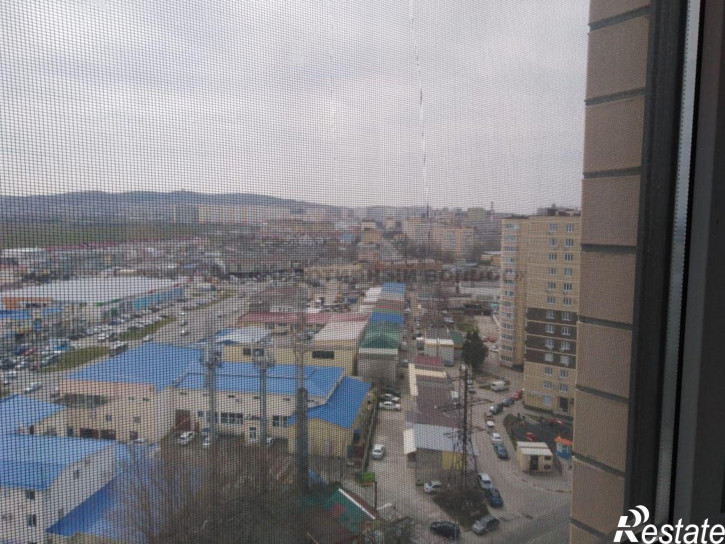 1-комн квартира Парковая ул, 61