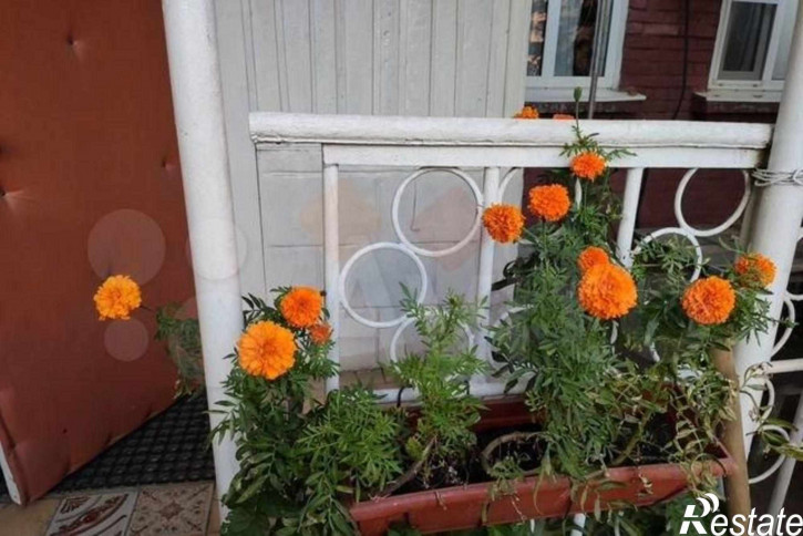 Коттедж/дом Базовская ул, 119