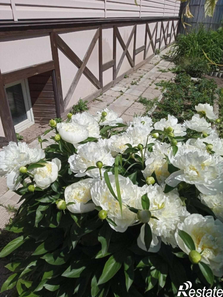 Коттедж/дом Ленинский район