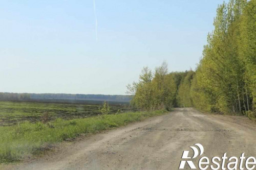 Продажа участка с. Мезенское, ул. Трактовая, 1