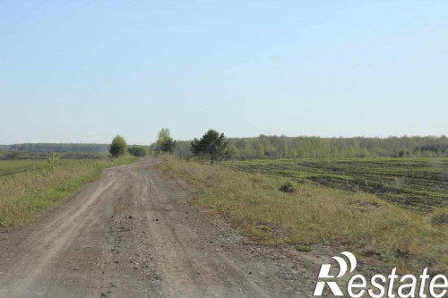 Продажа участка с. Мезенское, ул. Трактовая, 1