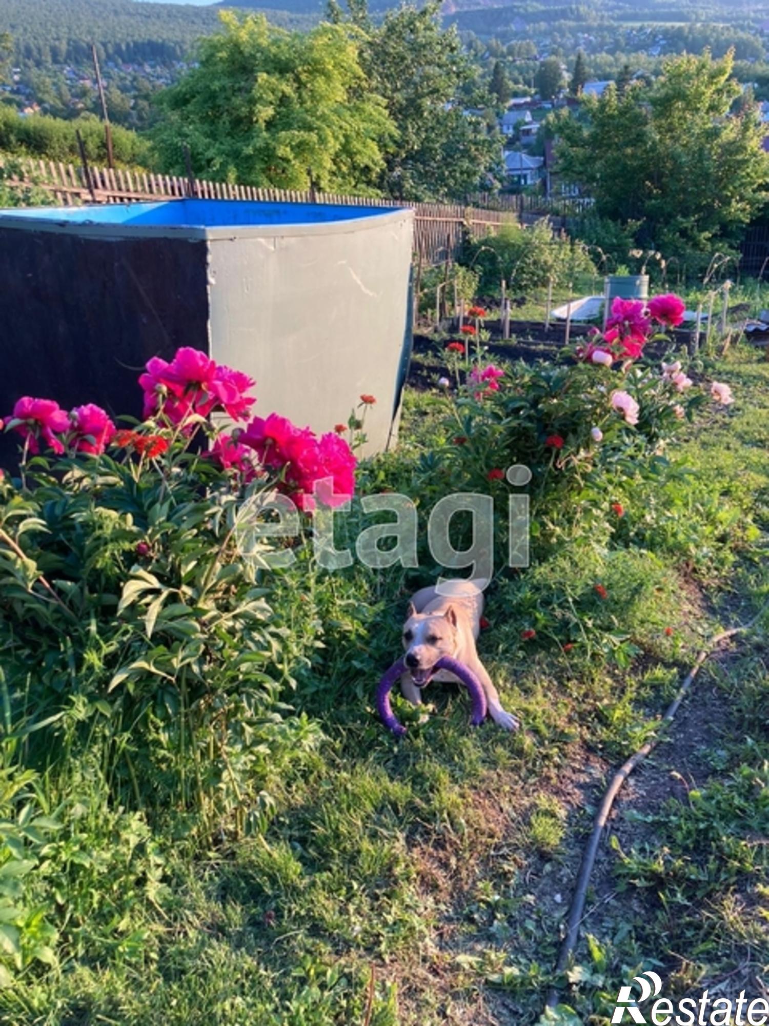Купить дачу, дом, коттедж за 1 300 000 рублей на Array