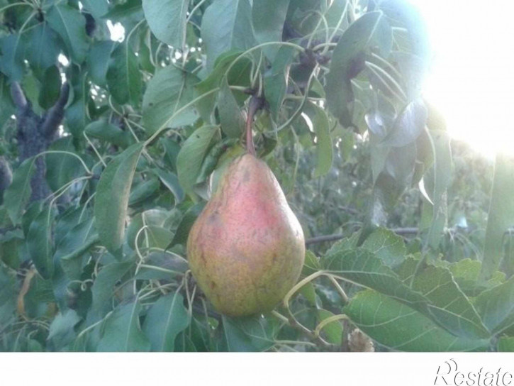 Земельный участок Талалихина пер