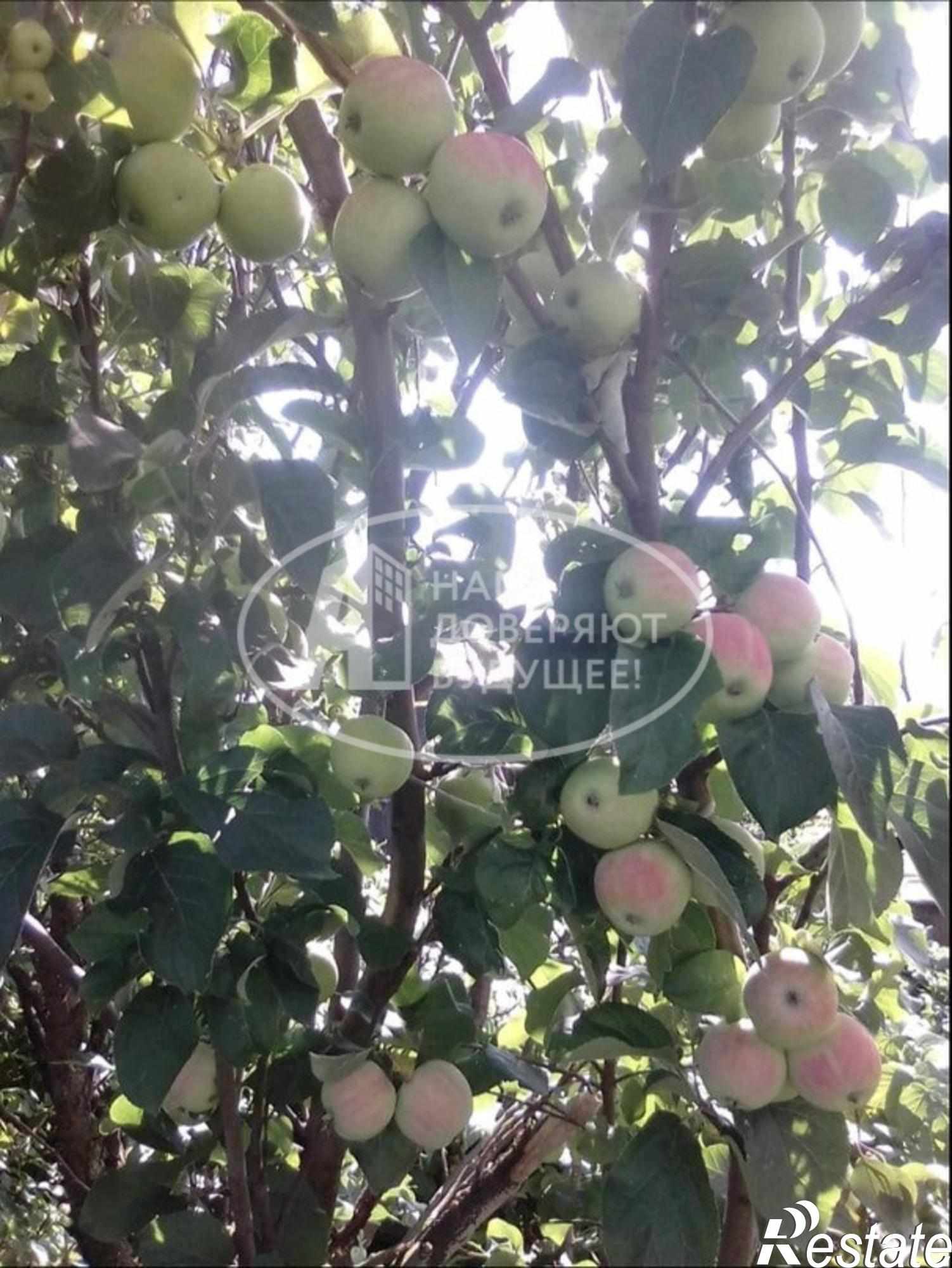 Купить дачу, дом, коттедж за 980 000 рублей на Солнечная улица, 15