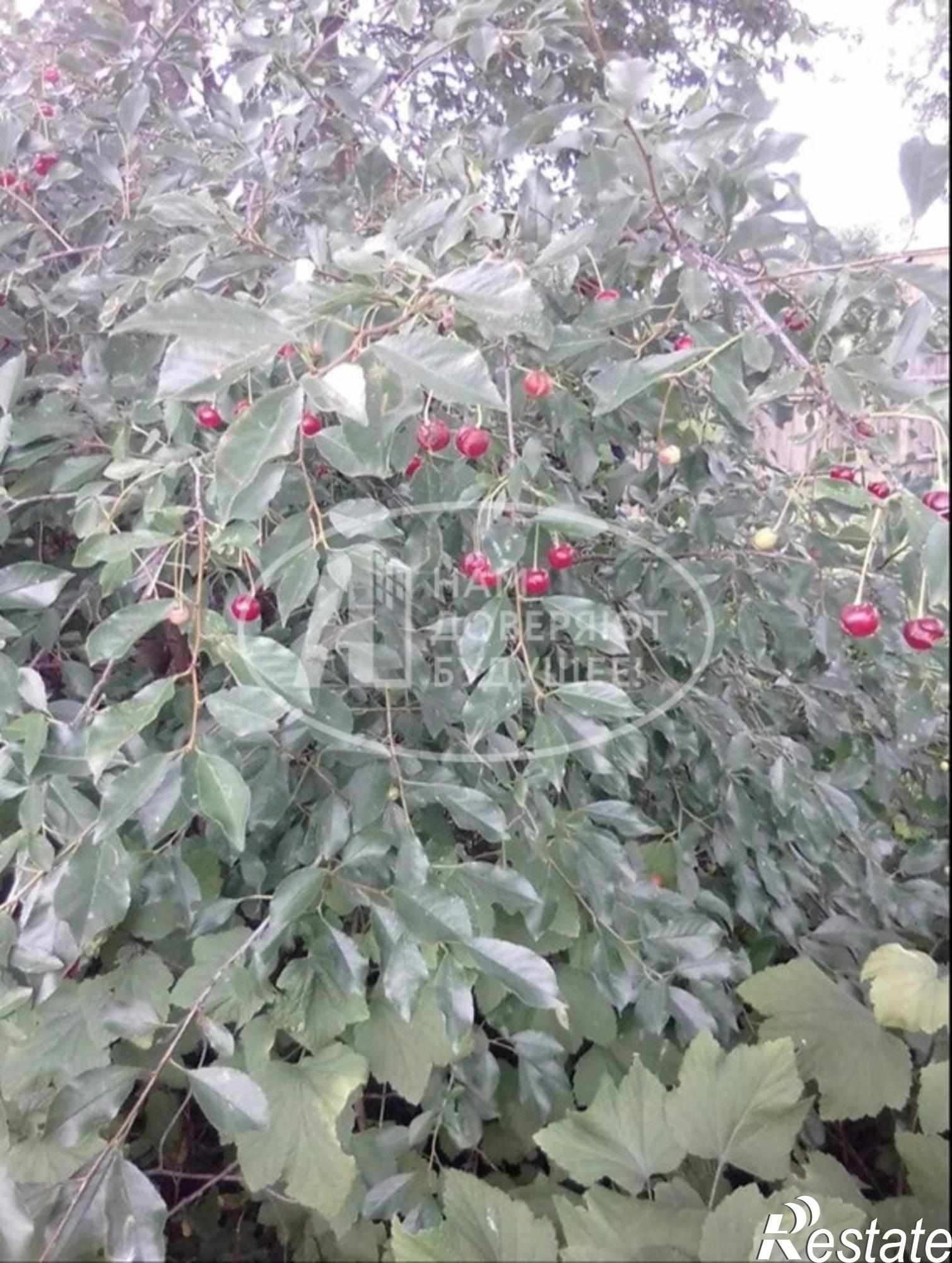 Купить дачу, дом, коттедж за 980 000 рублей на Солнечная улица, 15