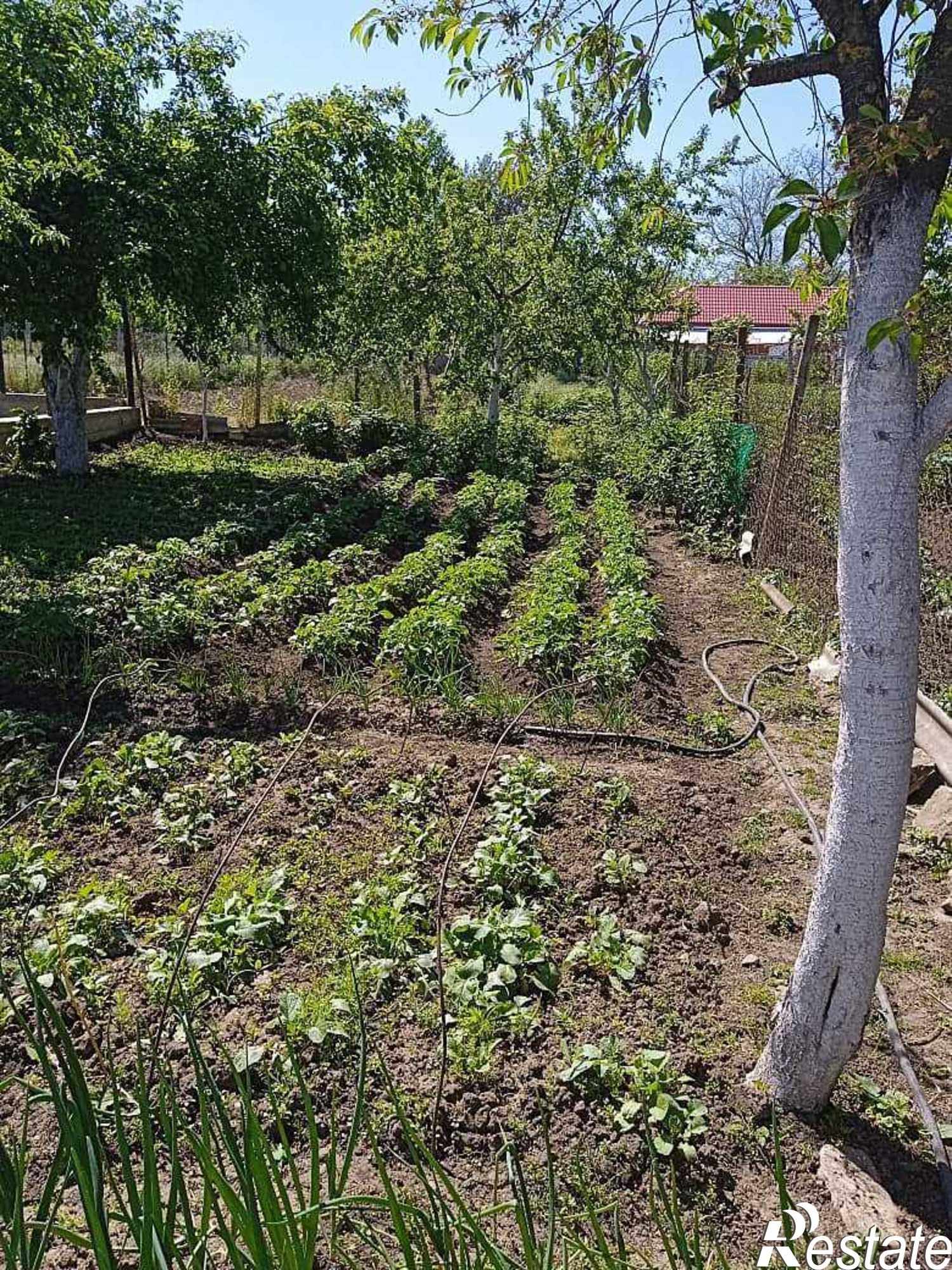 Купить дачу, дом, коттедж за 6 500 000 рублей на улица Цицина