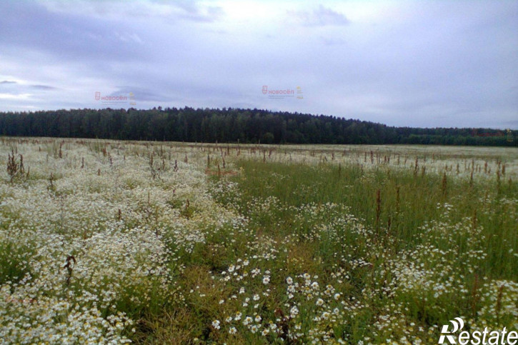 Земельный участок село Курганово