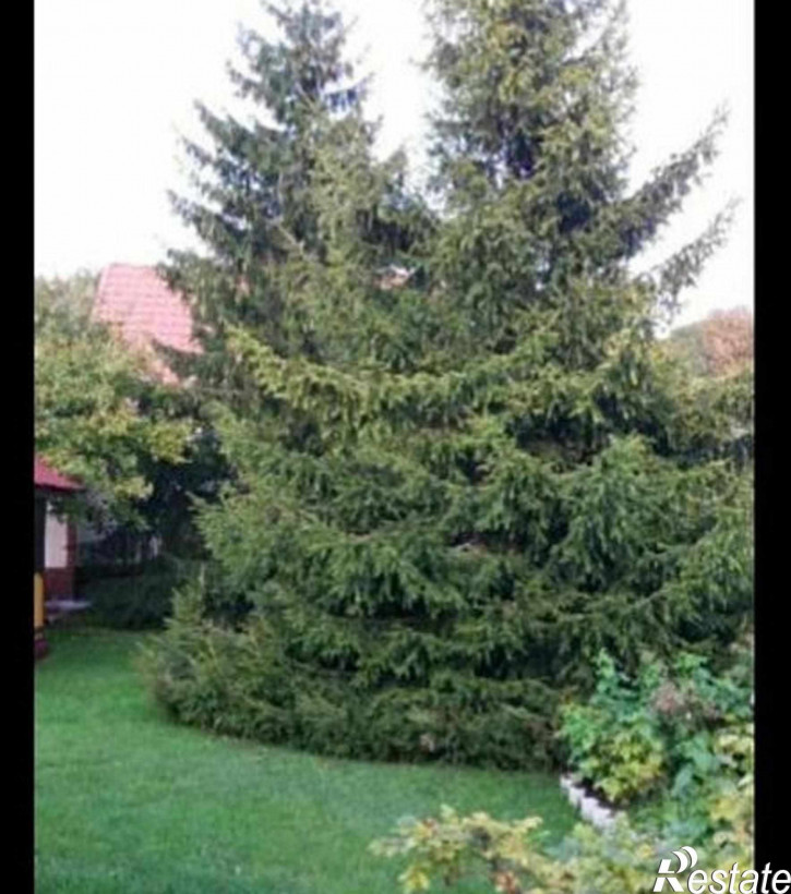 Коттедж/дом Лесная улица, д.5