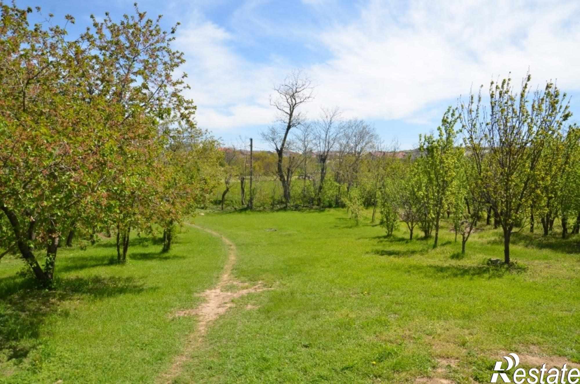 Купить землю, земельный участок за 2 750 000 рублей на село Фонтаны