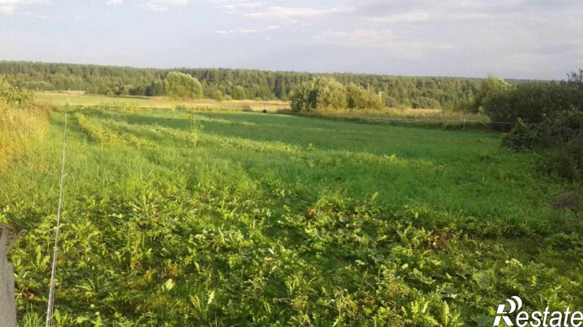 Купить землю, земельный участок за 380 000 рублей на Полевая