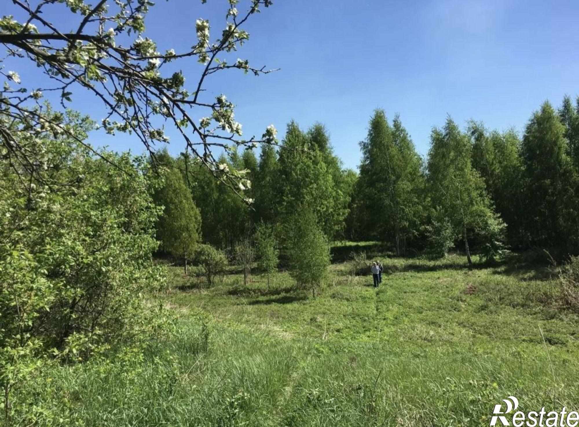 Купить землю, земельный участок за 500 000 рублей на Берендеево п