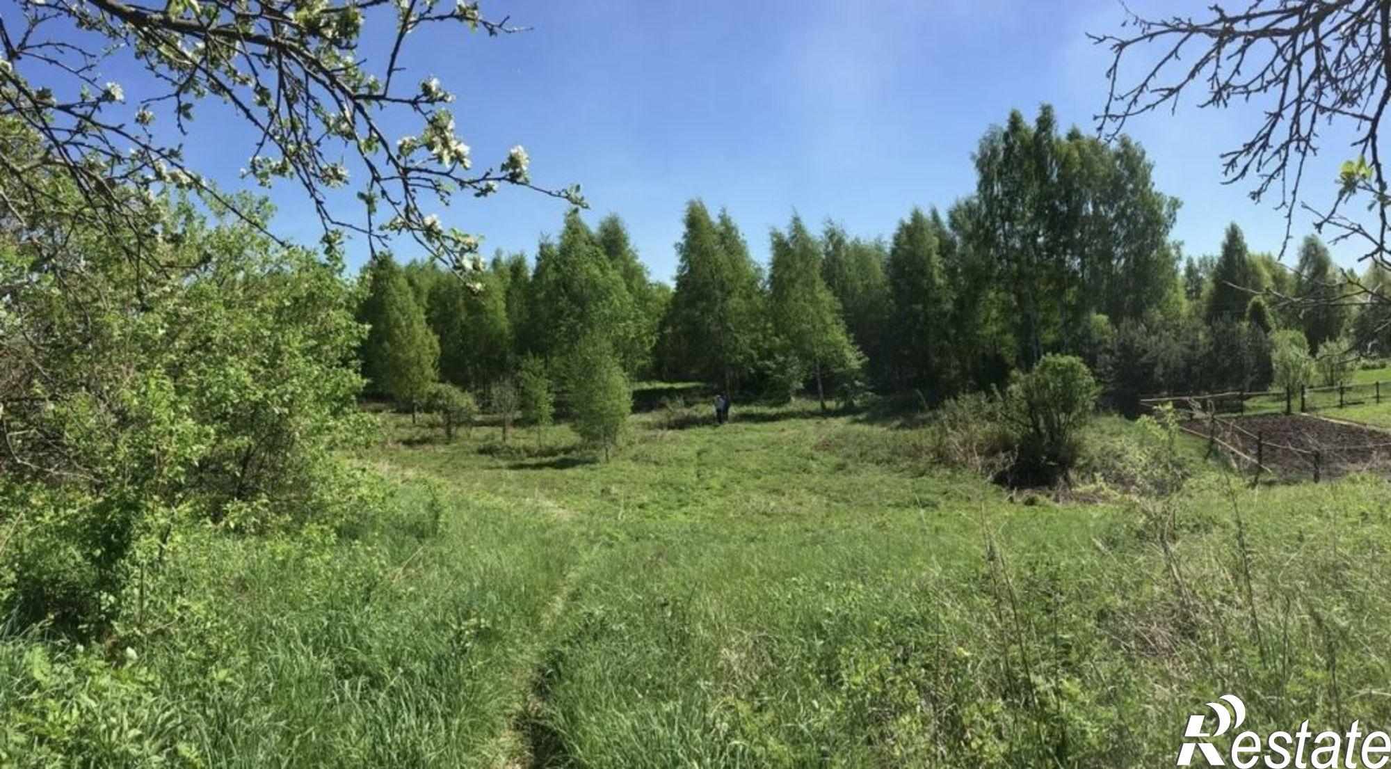 Купить землю, земельный участок за 500 000 рублей на Берендеево п