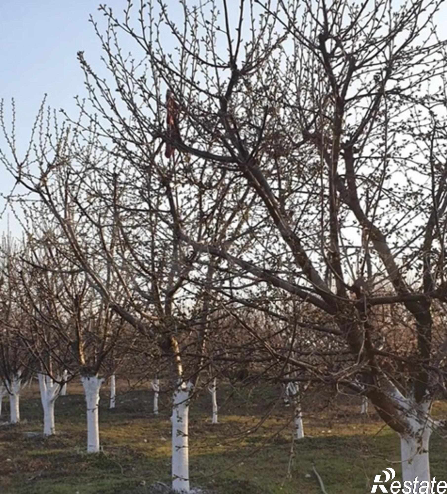 Купить землю, земельный участок за 3 200 000 рублей на Овощной