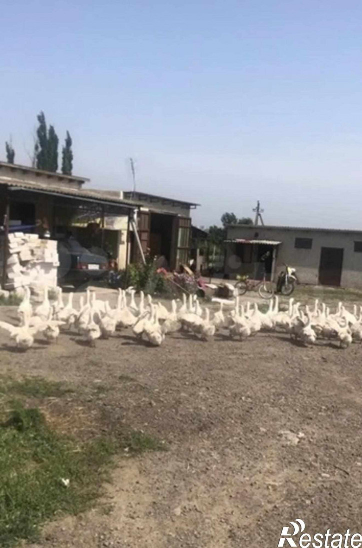 Земельный участок Овощной