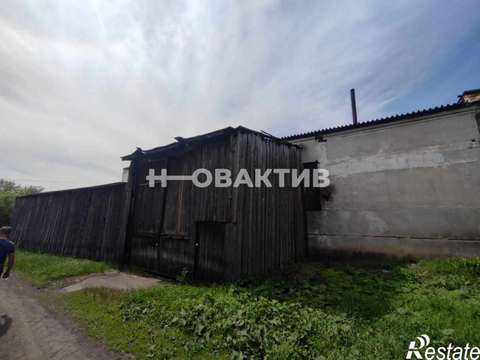 Купить производственную площадь за 3 800 000 рублей на Новосибирская обл, Ордынский р-н, деревня Березовка