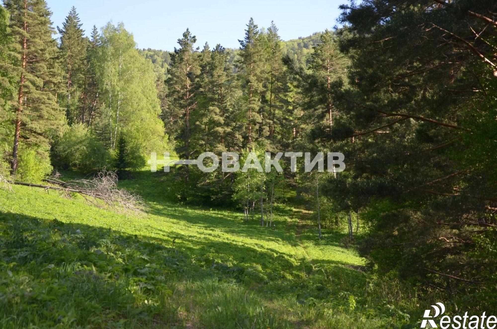 Купить землю, земельный участок за 15 000 000 рублей на Алтайский край, г Белокуриха