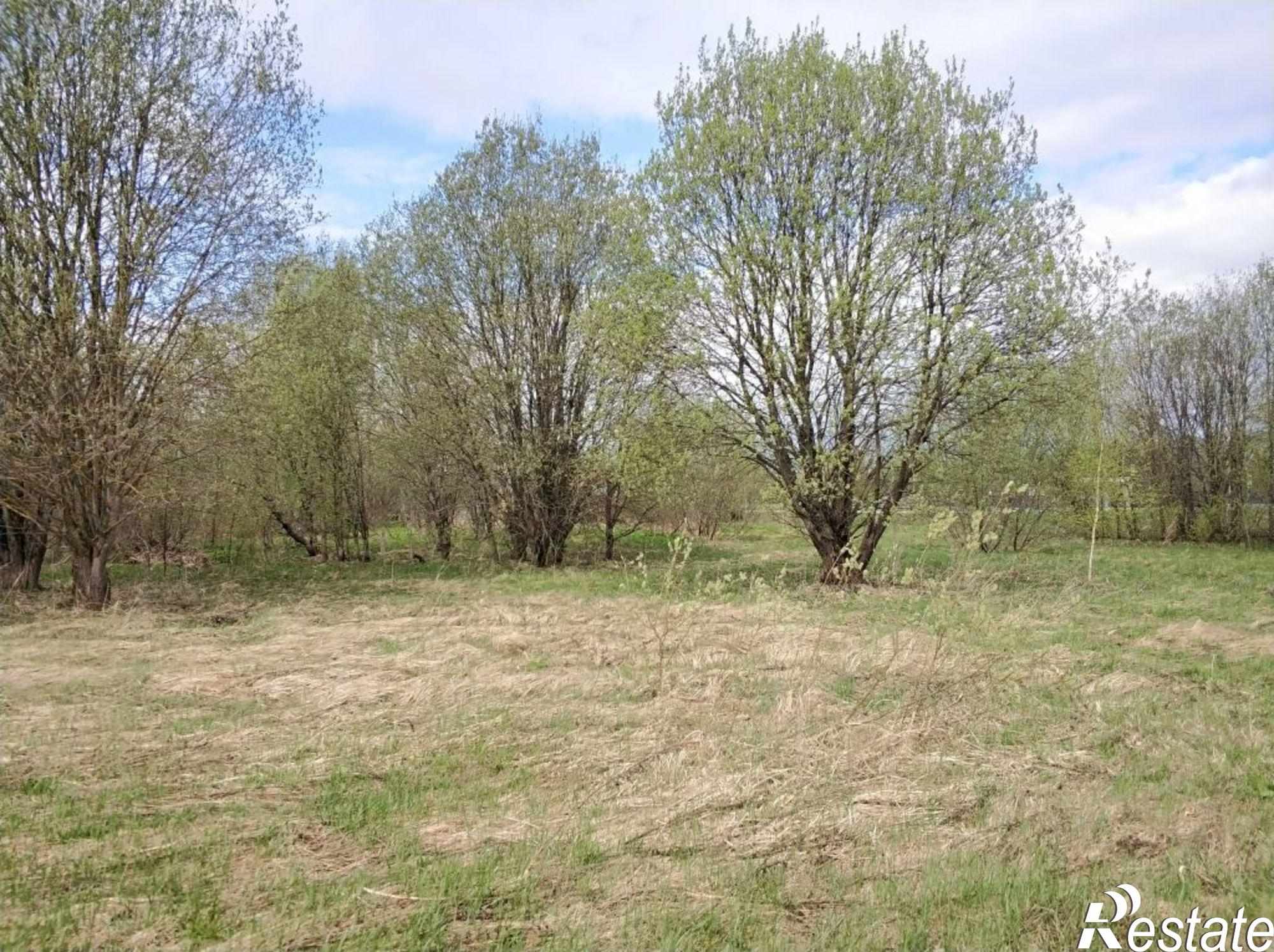 Купить землю, земельный участок за 180 000 рублей на Дровинки д