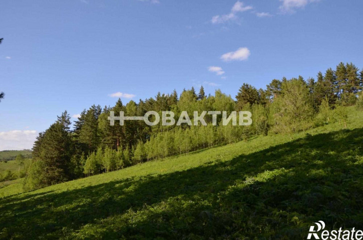 Земельный участок Алтайский край, г Белокуриха