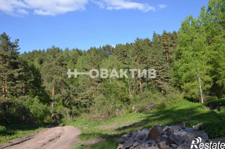 Земельный участок Алтайский край, г Белокуриха