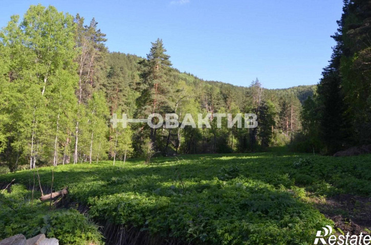 Земельный участок Алтайский край, г Белокуриха