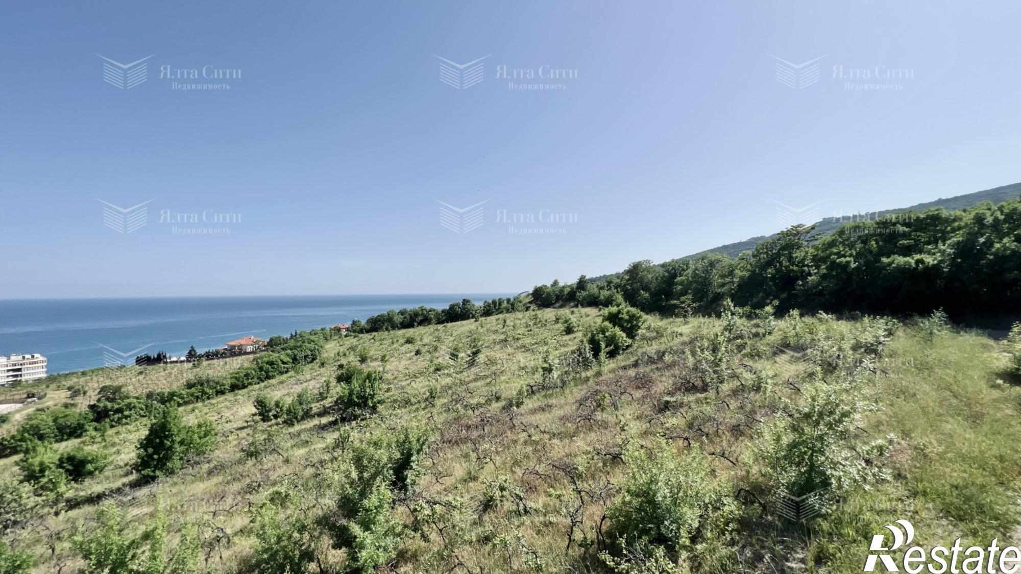 Купить дачу, дом, коттедж за 135 000 000 рублей на Виноградная ул., 99