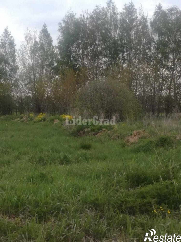 Земельный участок Осовые д