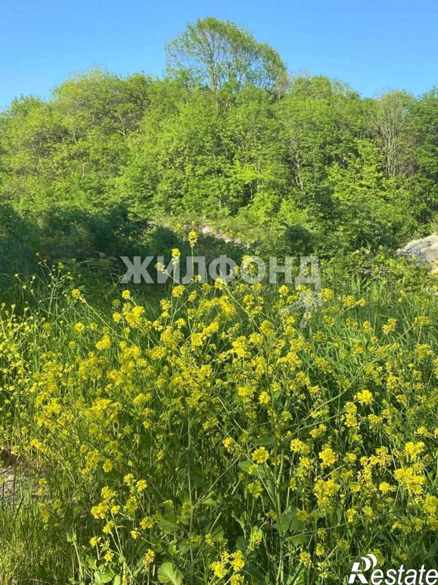 Купить землю, земельный участок за 5 100 000 рублей на Балтийская улица