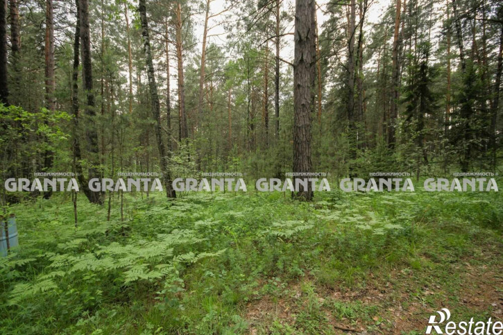 Коттедж/дом СНТ Караульная дача, 27 стр. 1