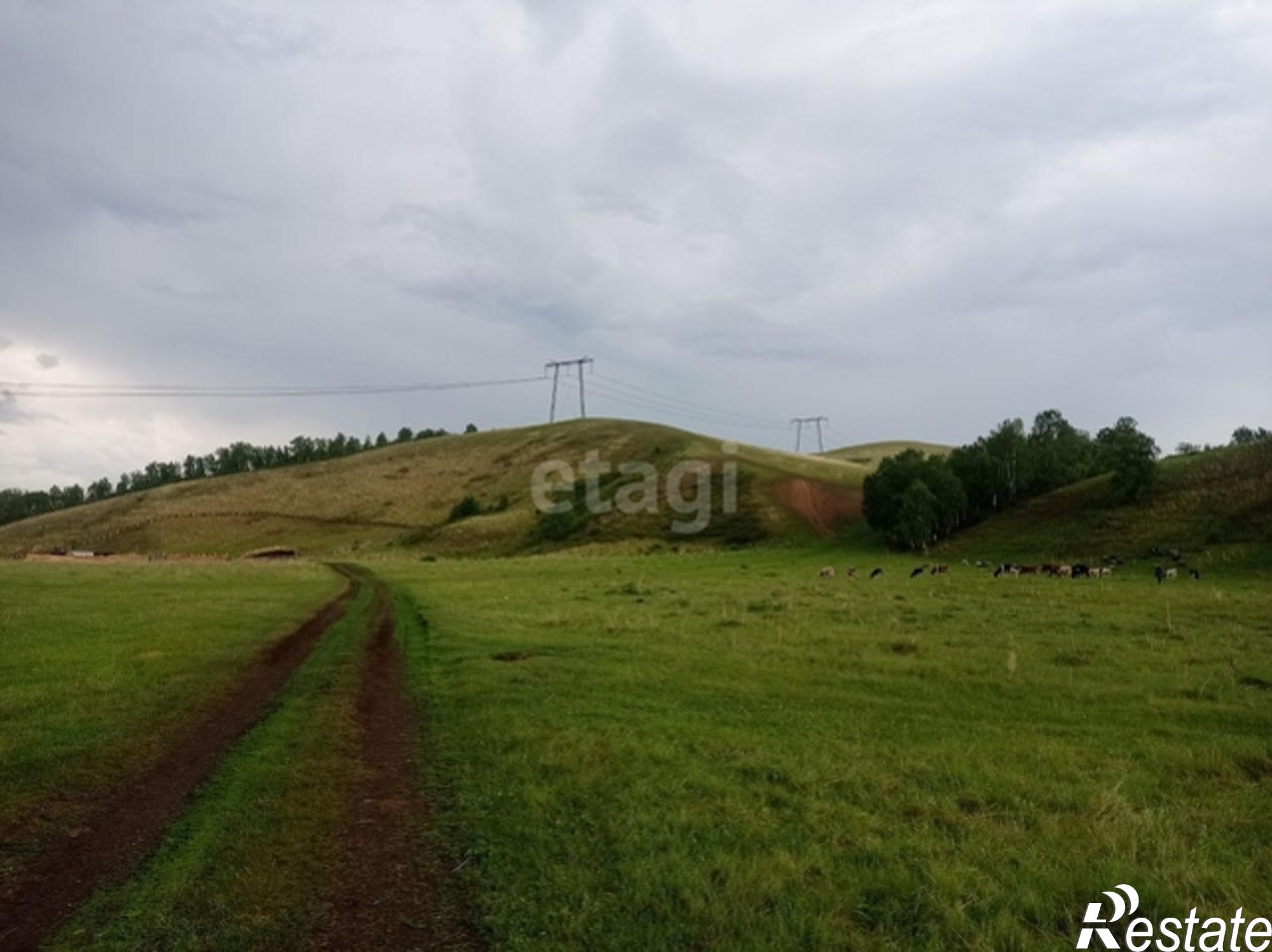 Купить землю, земельный участок за 5 500 000 рублей на Array