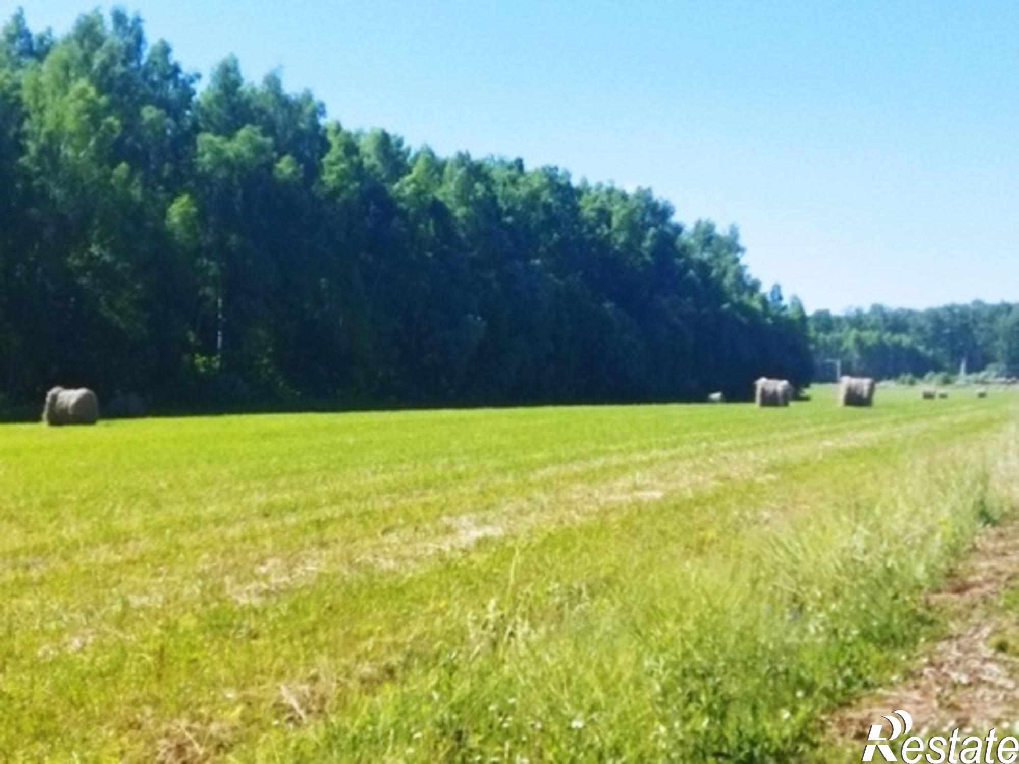 Купить землю, земельный участок за 480 000 рублей на Белугино д, Белугино д