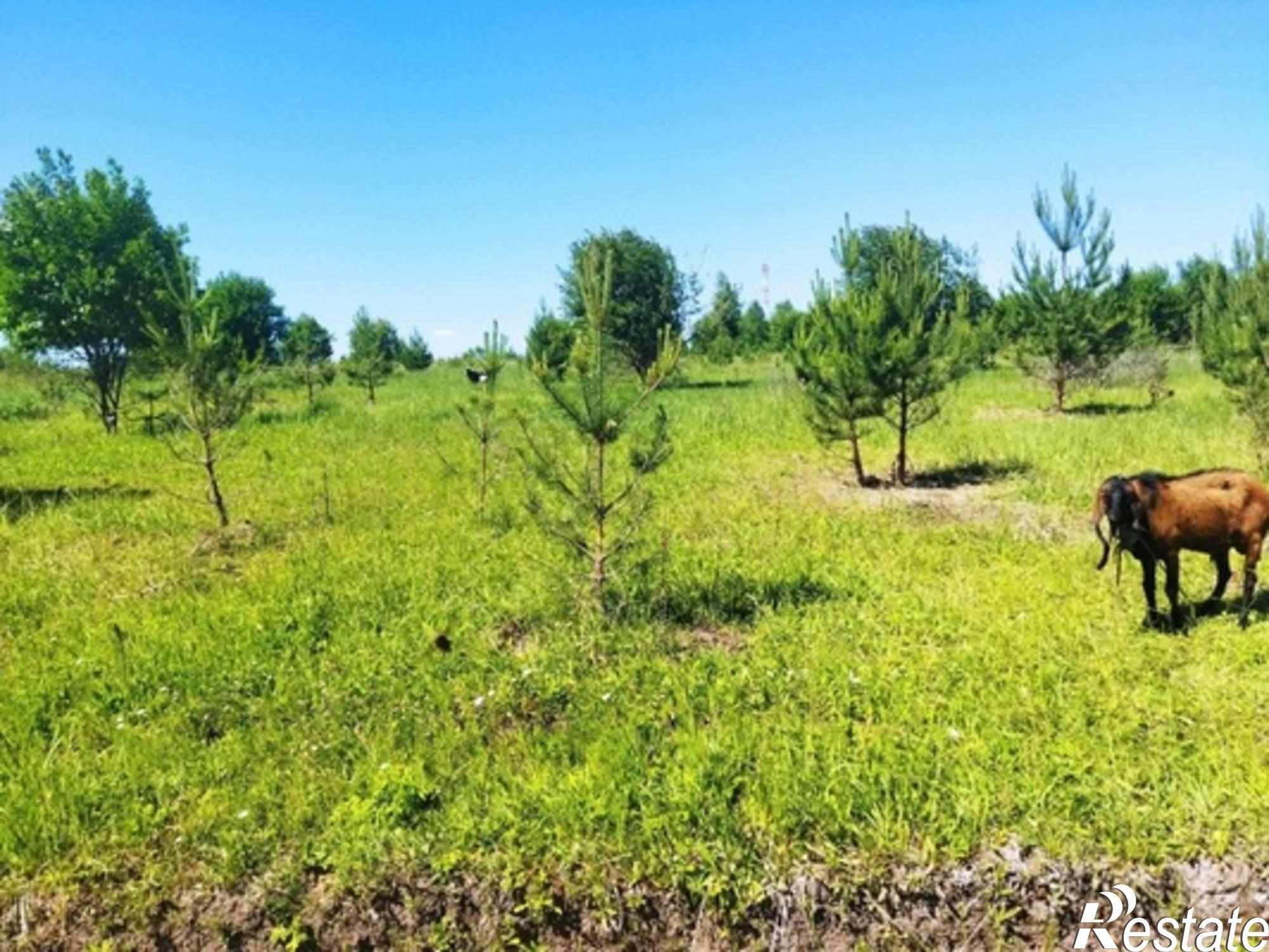 Купить землю, земельный участок за 650 000 рублей на Белугино д, Белугино д