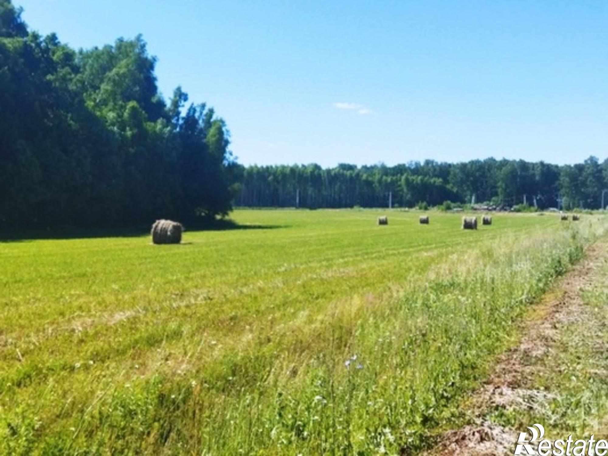 Купить землю, земельный участок за 450 000 рублей на Белугино д, Белугино д
