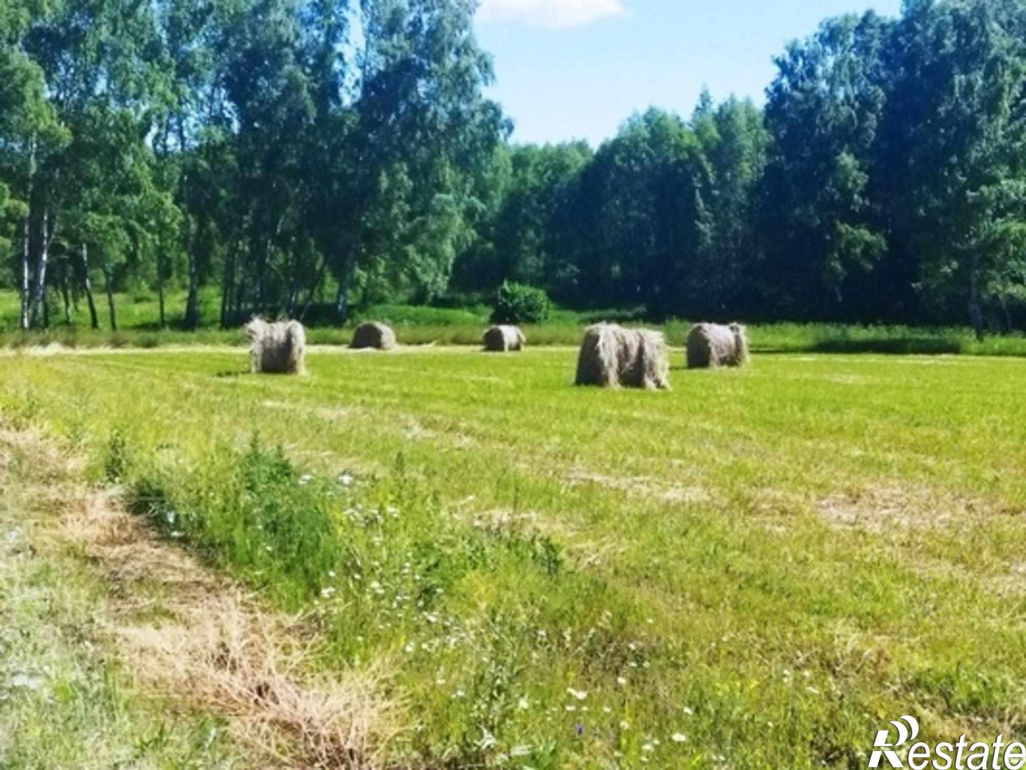 Купить землю, земельный участок за 1 800 000 рублей на Белугино д, Белугино д