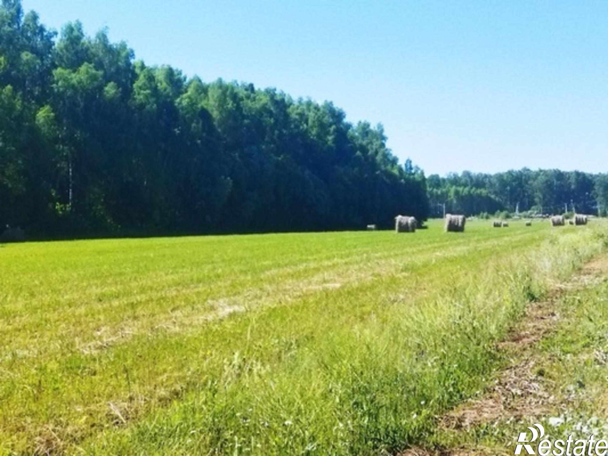 Купить землю, земельный участок за 900 000 рублей на Белугино д, Белугино д