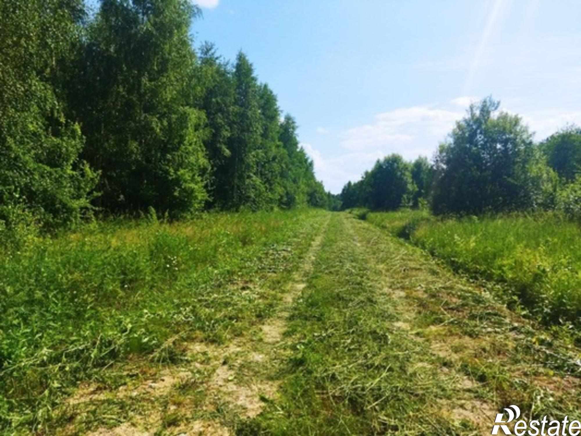 Купить землю, земельный участок за 550 000 рублей на Есуковский п, Есуковский п
