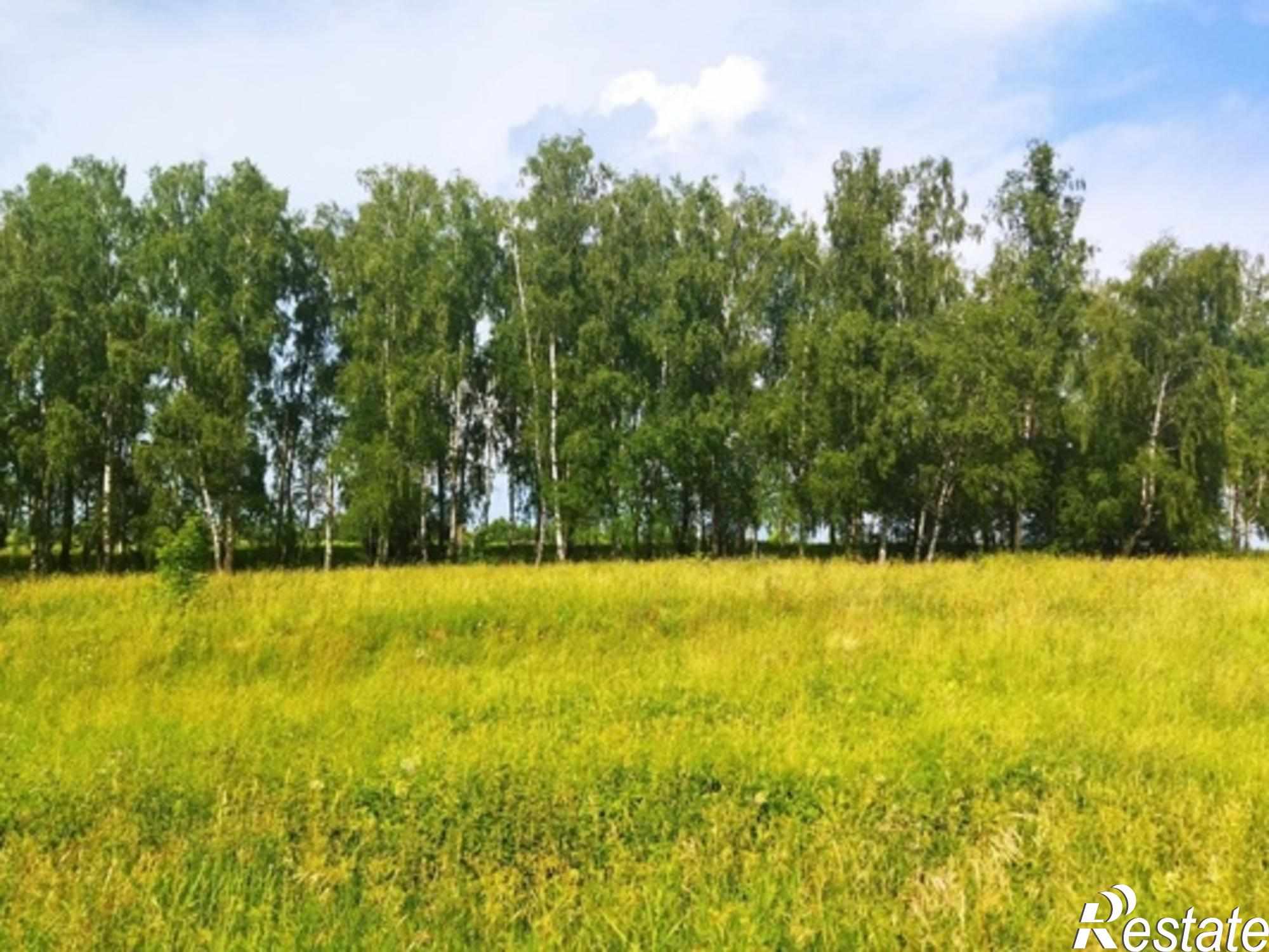 Купить землю, земельный участок за 190 000 рублей на Гайтурово д, Гайтурово д