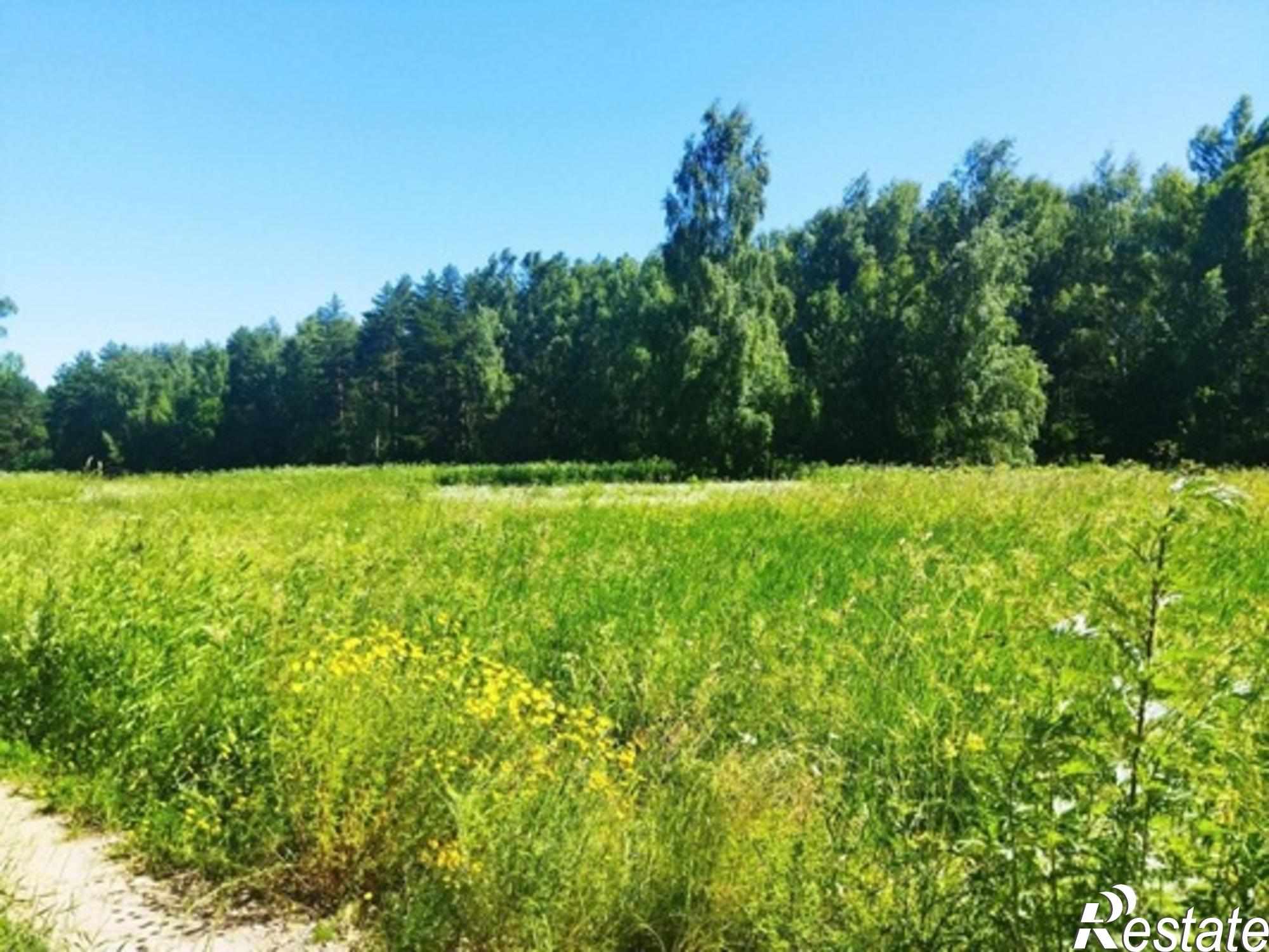 Купить землю, земельный участок за 960 000 рублей на Белугино д, Белугино д